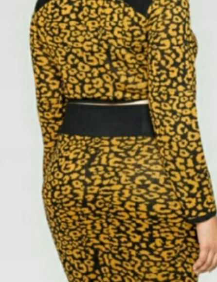 Animal Print 2 pc Set - Picture 2 of 4